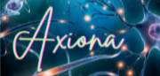 Accompagnement en neuropédagogie